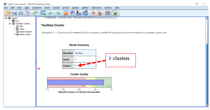 Two Step Cluster Output - SPSS