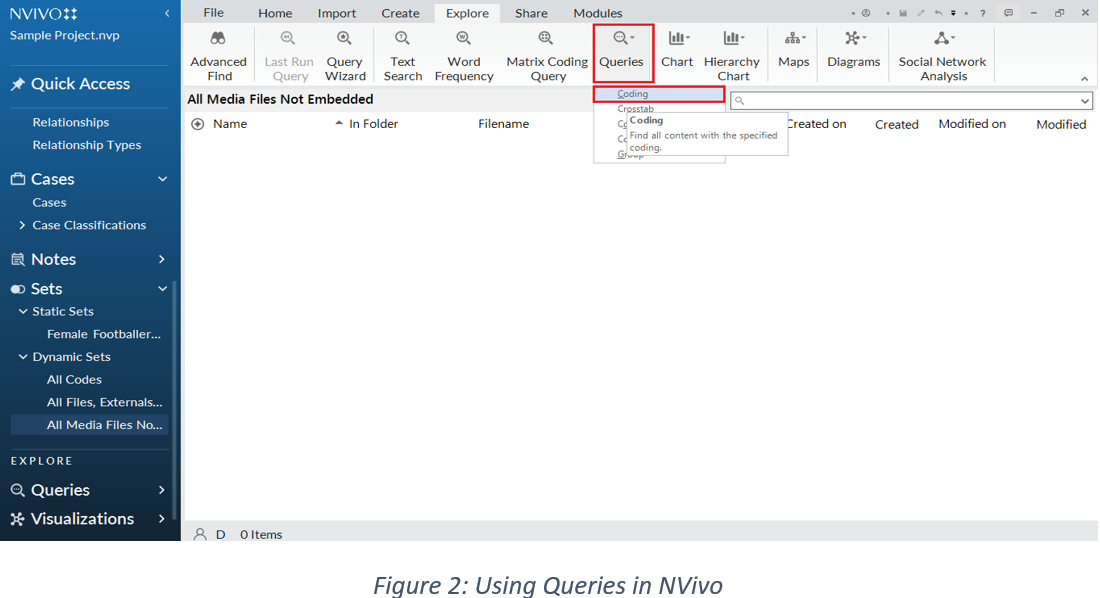 NVivo Qualitative Analysis